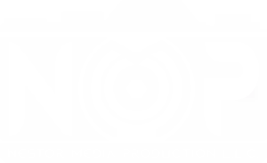 Nestor Media Production L.L.C